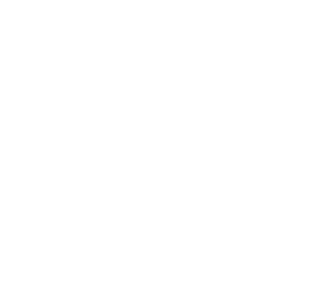 CORE Logo Transparent